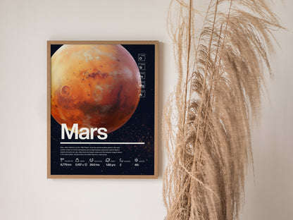 A framed poster of Mars features detailed planetary information and statistics against a dark background, with decorative pampas grass to the side.