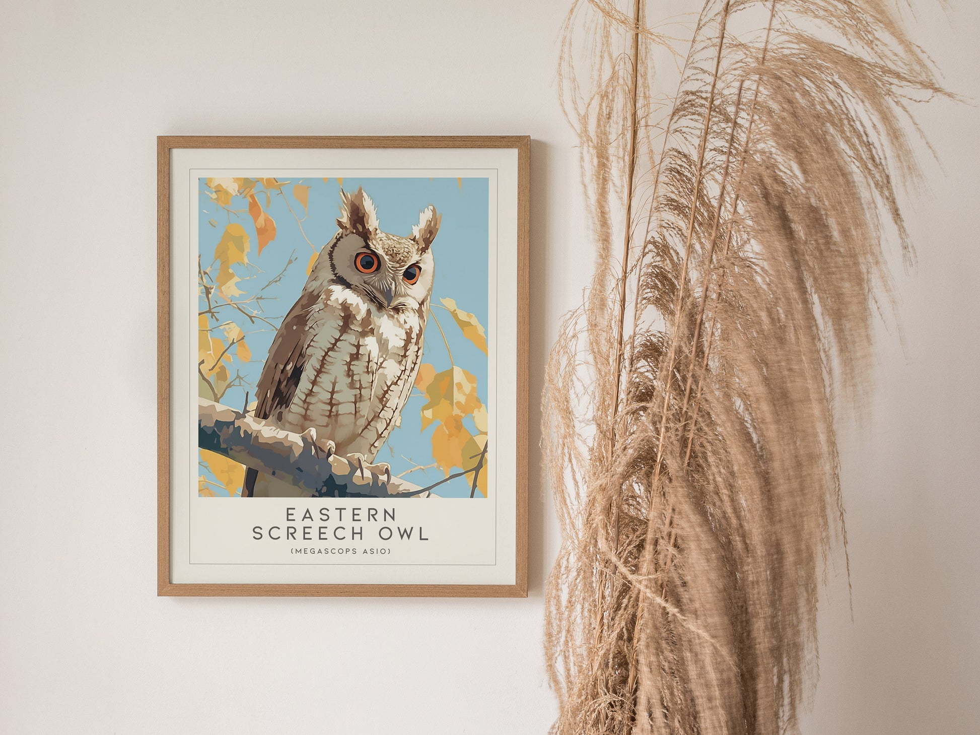 Eastern Screech Owl Poster | Bird Lover Audubon Print Wall Art | Framed or Unframed