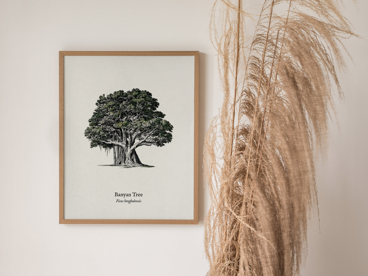 Banyan Tree Poster | Vintage Ficus benghalensis Botanical Illustration Wall Art — styled in a modern interior