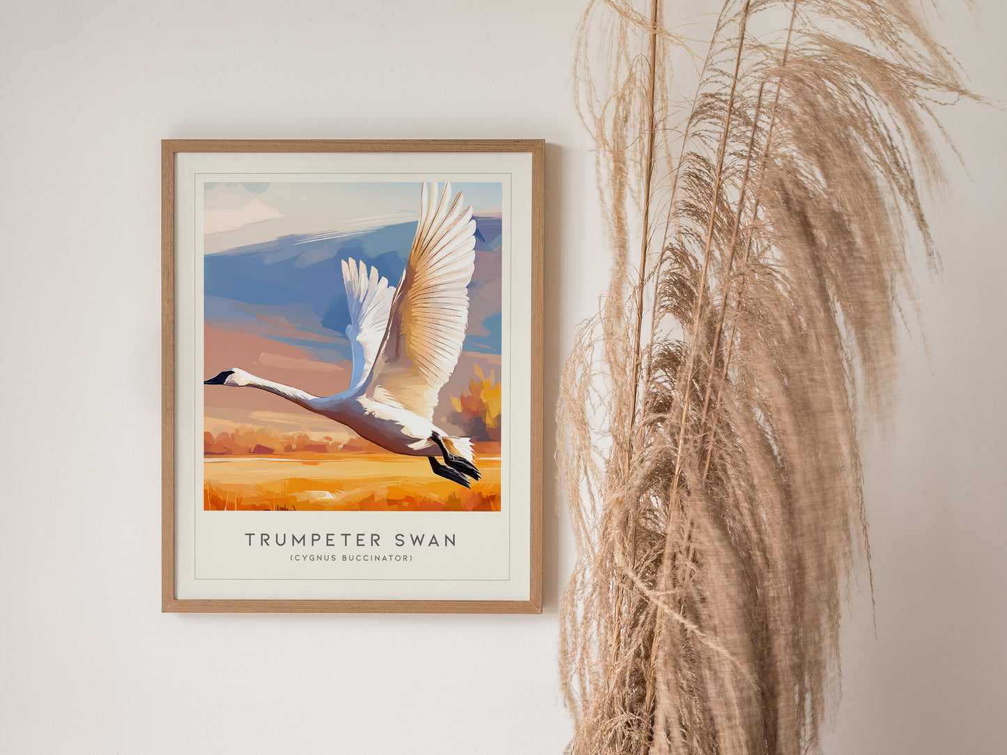 Trumpeter Swan Poster | Elegant Waterbird in Winter Calm Wall Art — styled in a modern interior