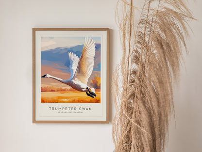 Trumpeter Swan Poster | Elegant Waterbird in Winter Calm Wall Art — styled in a modern interior