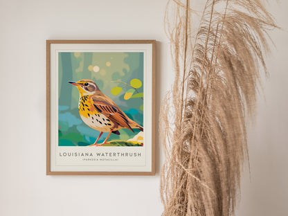 Louisiana Waterthrush, Parkesia motacilla Poster | Streamside Songbird Nature Wall Art — styled in a modern interior