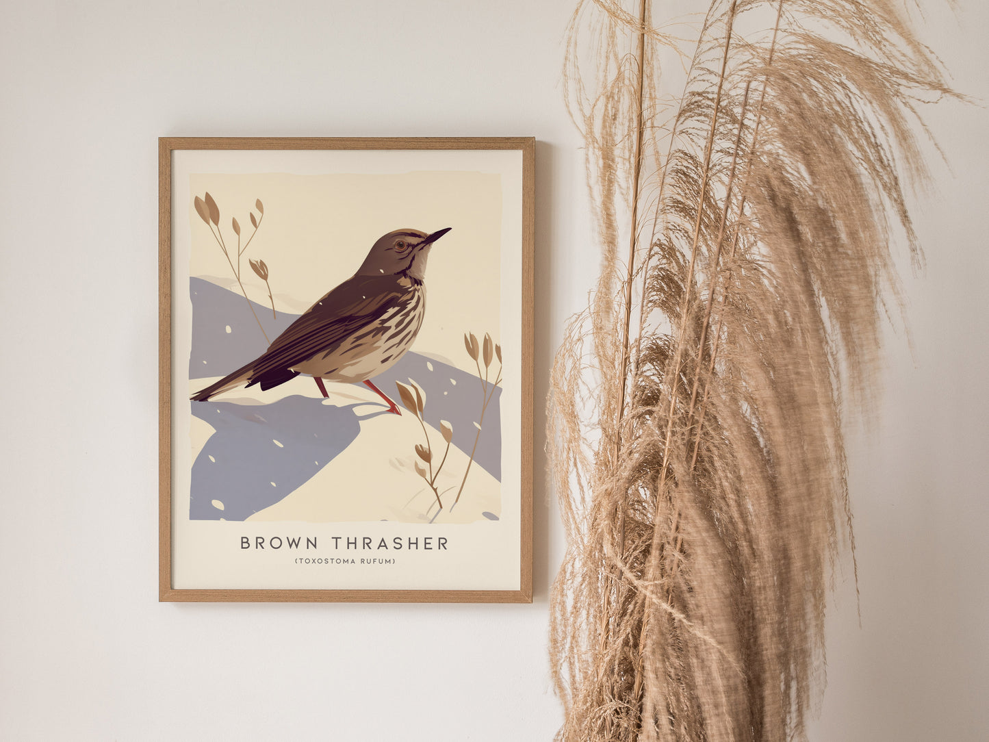 Brown Thrasher Audubon Print | Modern Bird Lover Wall Art | Framed or Unframed