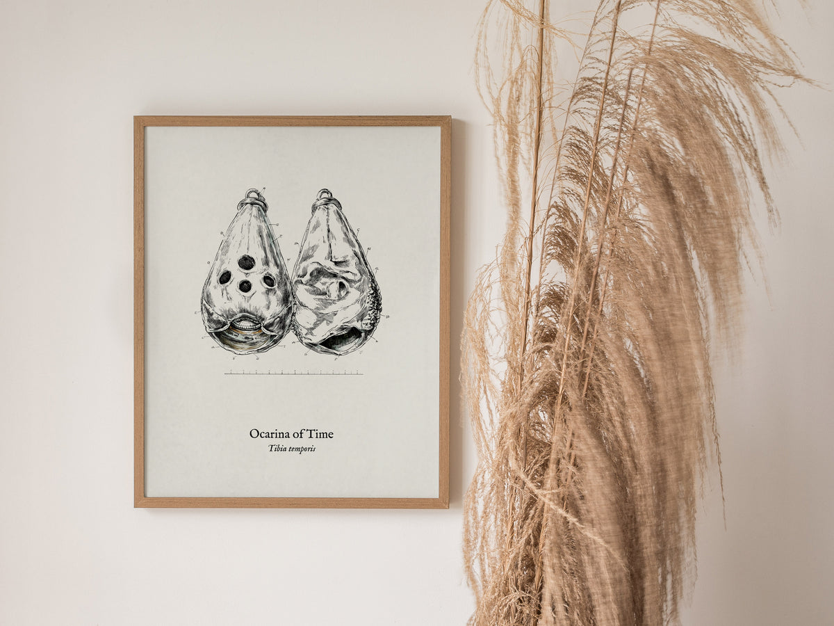 Ocarina of Time Poster | Tibia temporis Vintage Pen and Ink Print Scientific Illustration Wall Art — styled in a modern inter