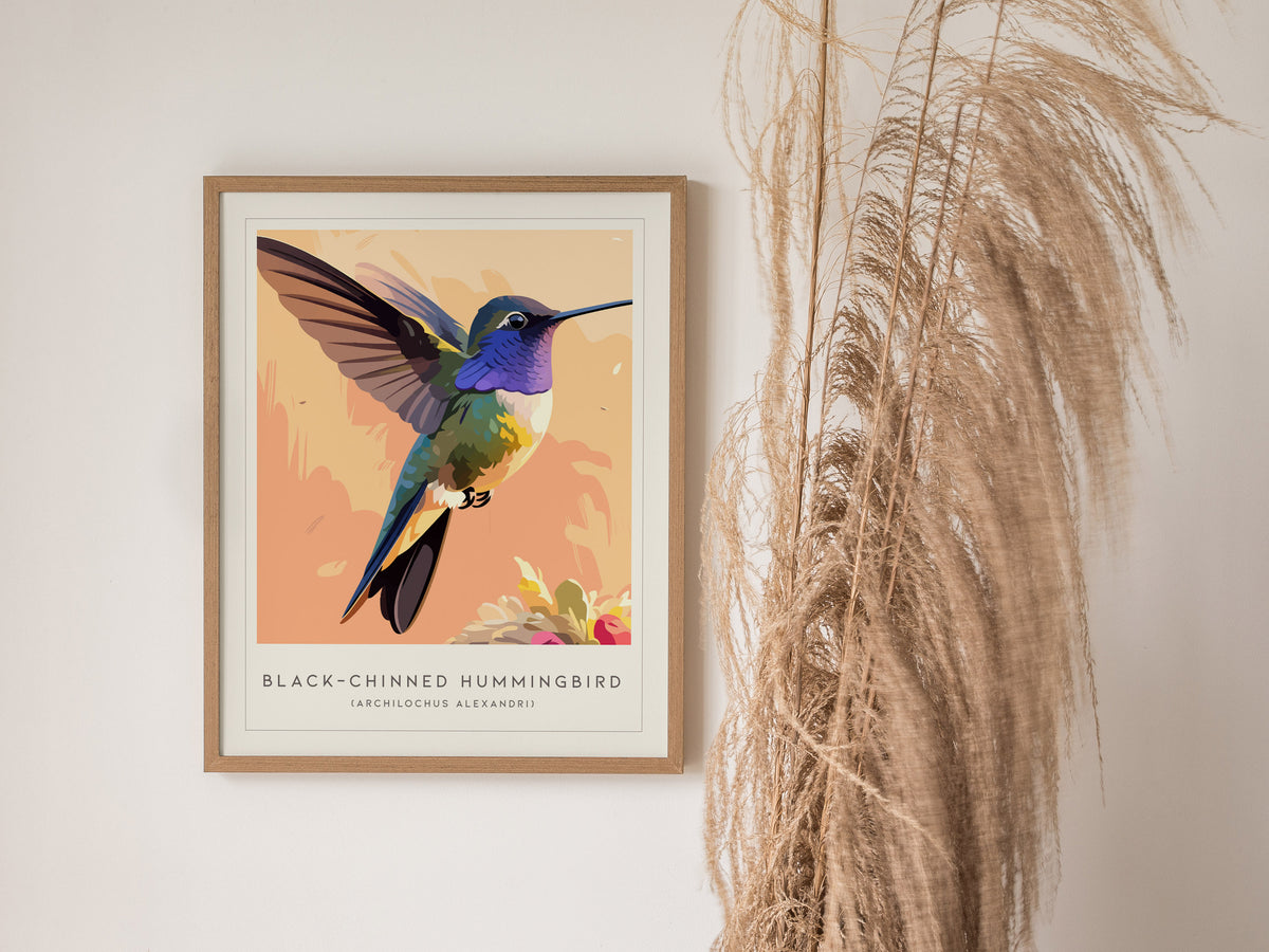 Black-chinned Hummingbird, Archilochus alexandri Poster | Jeweled Bird Wildlife Print Wall Art — styled in a modern interior