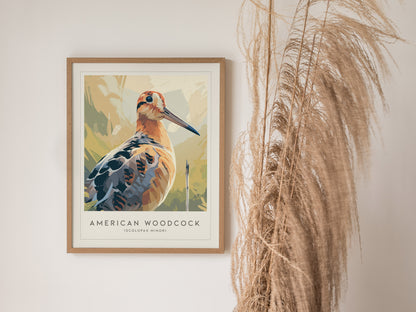 American Woodcock Poster | Woodland Shorebird Nature Illustration Wall Art — styled in a modern interior
