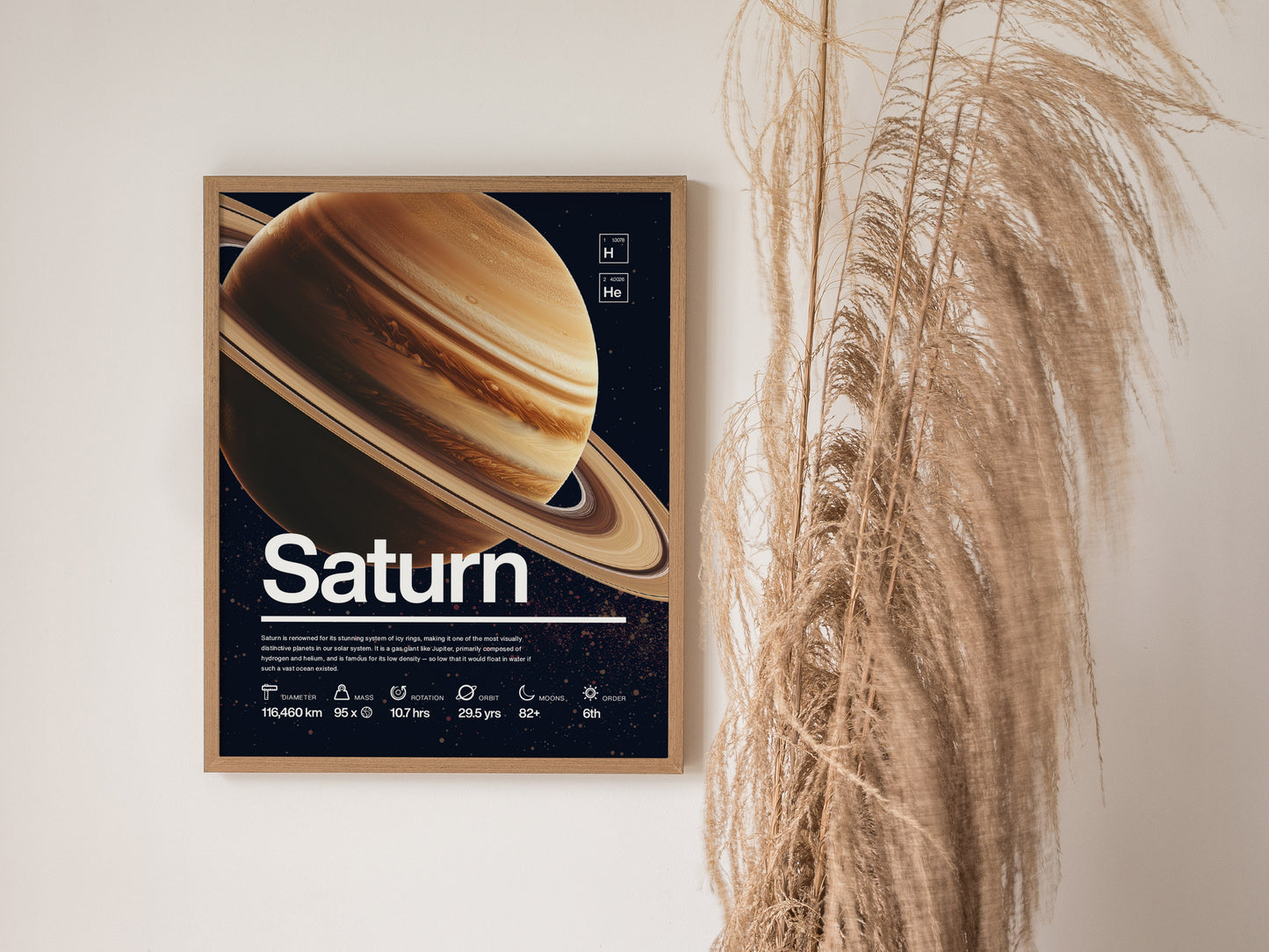 A framed poster of Saturn features the planets rings and essential facts, set against a dark background. Nearby, tall, dried grasses add a natural touch.
