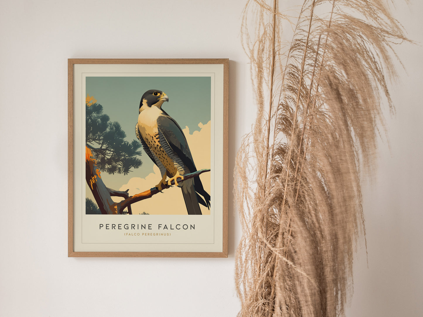 Peregrine Falcon Poster | Modern Audubon Bird of Prey Wall Art Print