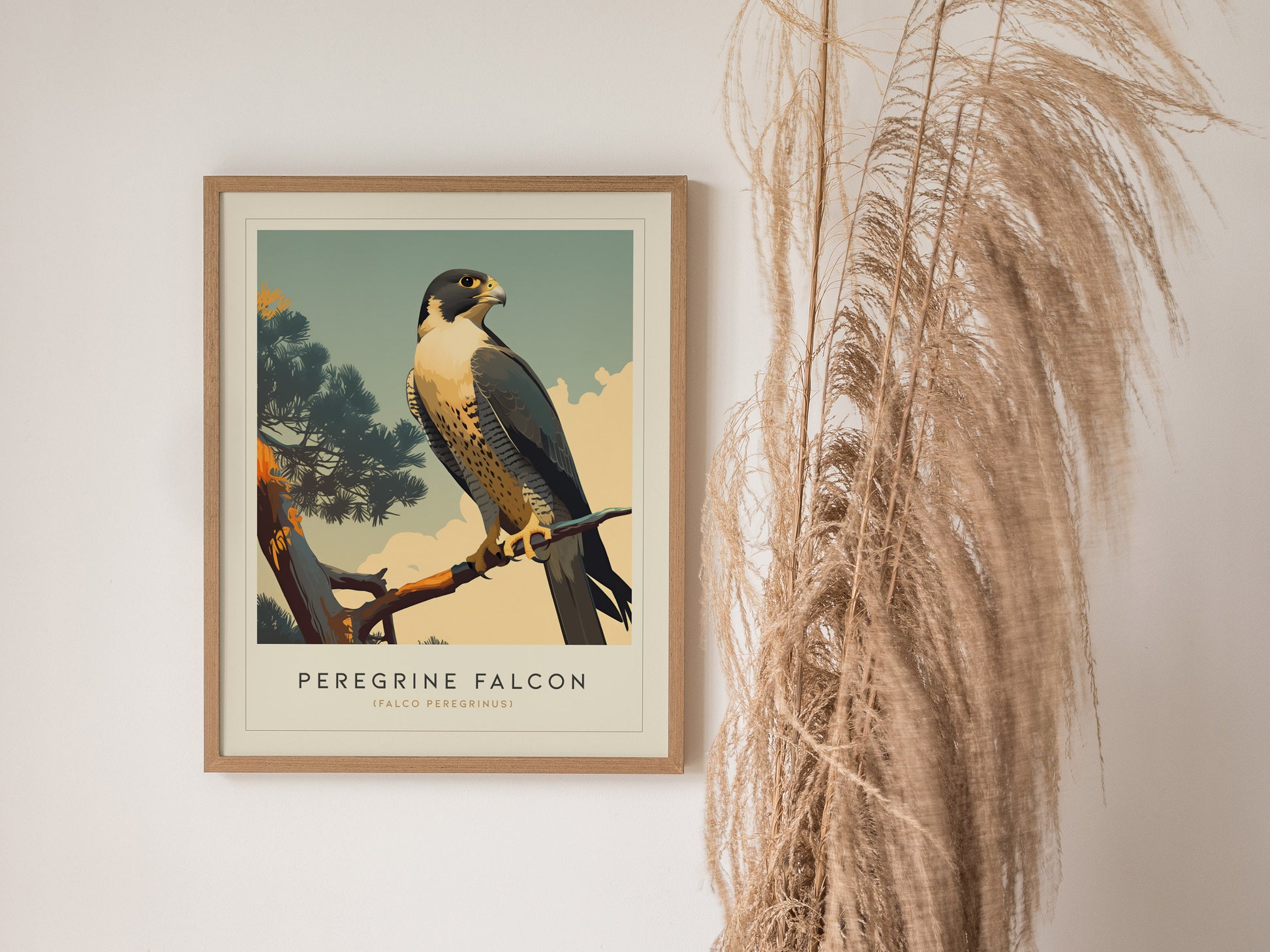 Peregrine Falcon Poster | Modern Audubon Bird of Prey Wall Art Print