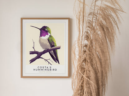 Costas Hummingbird Audubon Print | Bird Lover Wall Art | Framed or Unframed