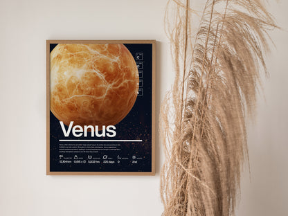 A framed educational poster of Venus with scientific details hangs on a white wall, accompanied by decorative dried grasses.
