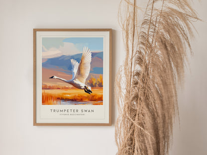 Trumpeter Swan Poster | Elegant Waterbird in Winter Calm Wall Art — styled in a modern interior