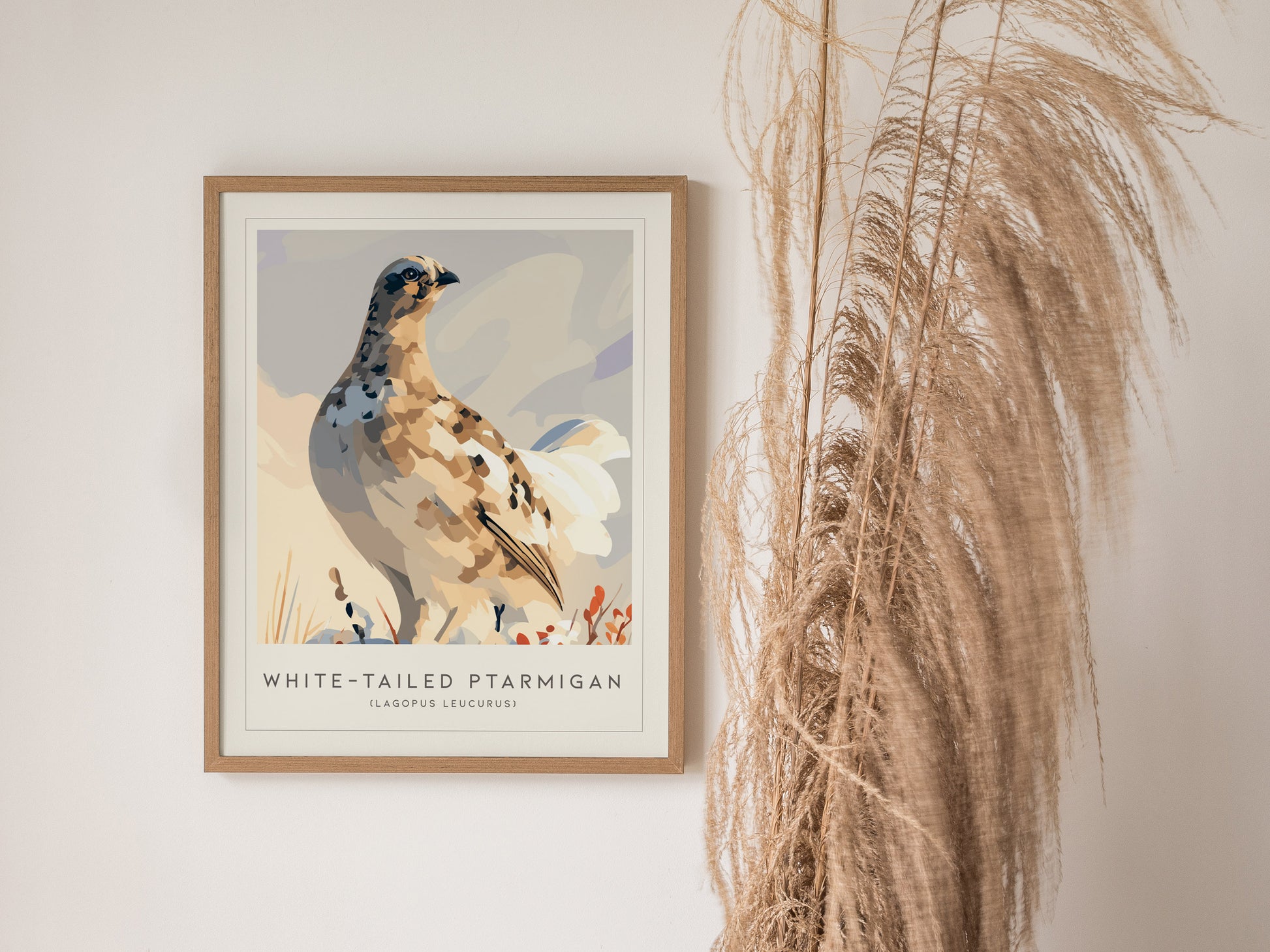 White-tailed Ptarmigan, Lagopus leucurus Poster | Alpine Bird Wall Art — styled in a modern interior