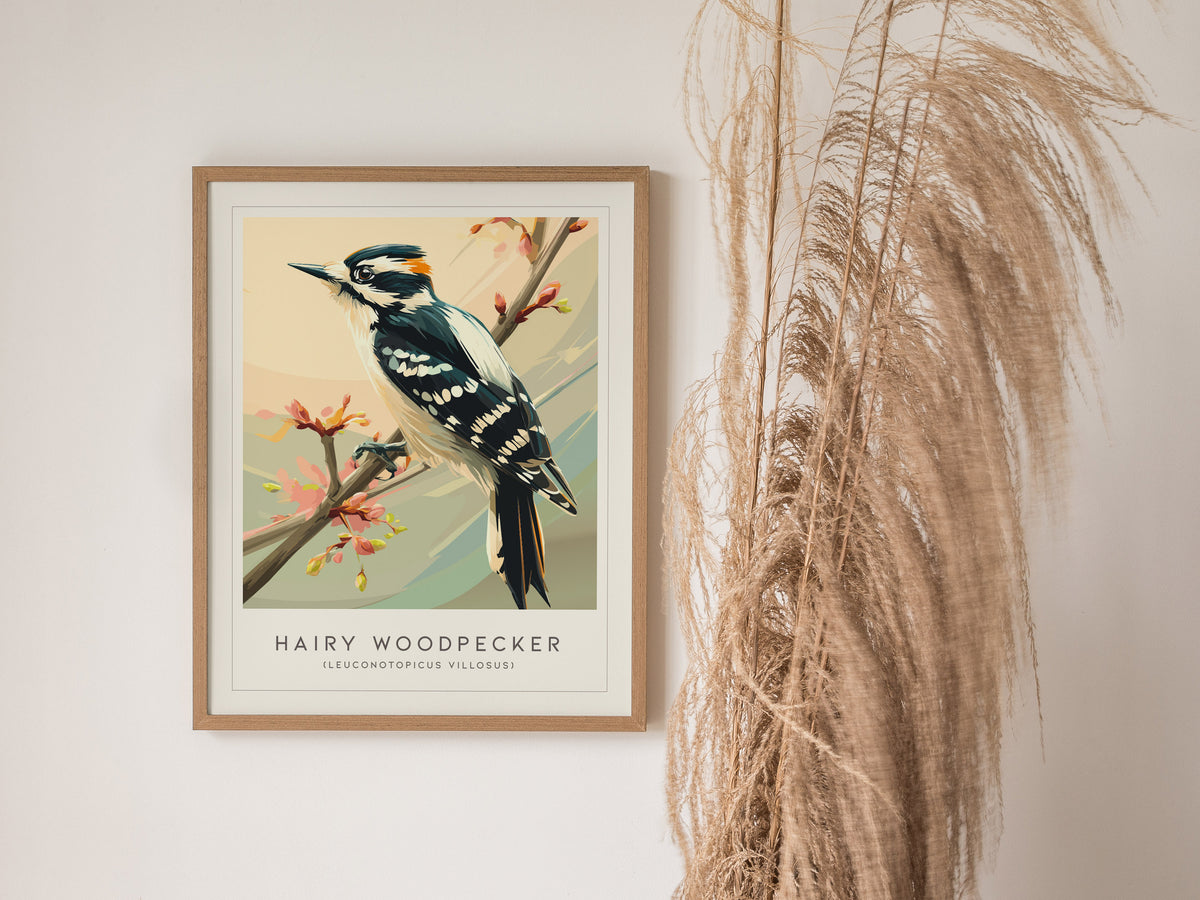 Hairy Woodpecker Poster | Bold Forest Bird Illustration Wall Art — styled in a modern interior