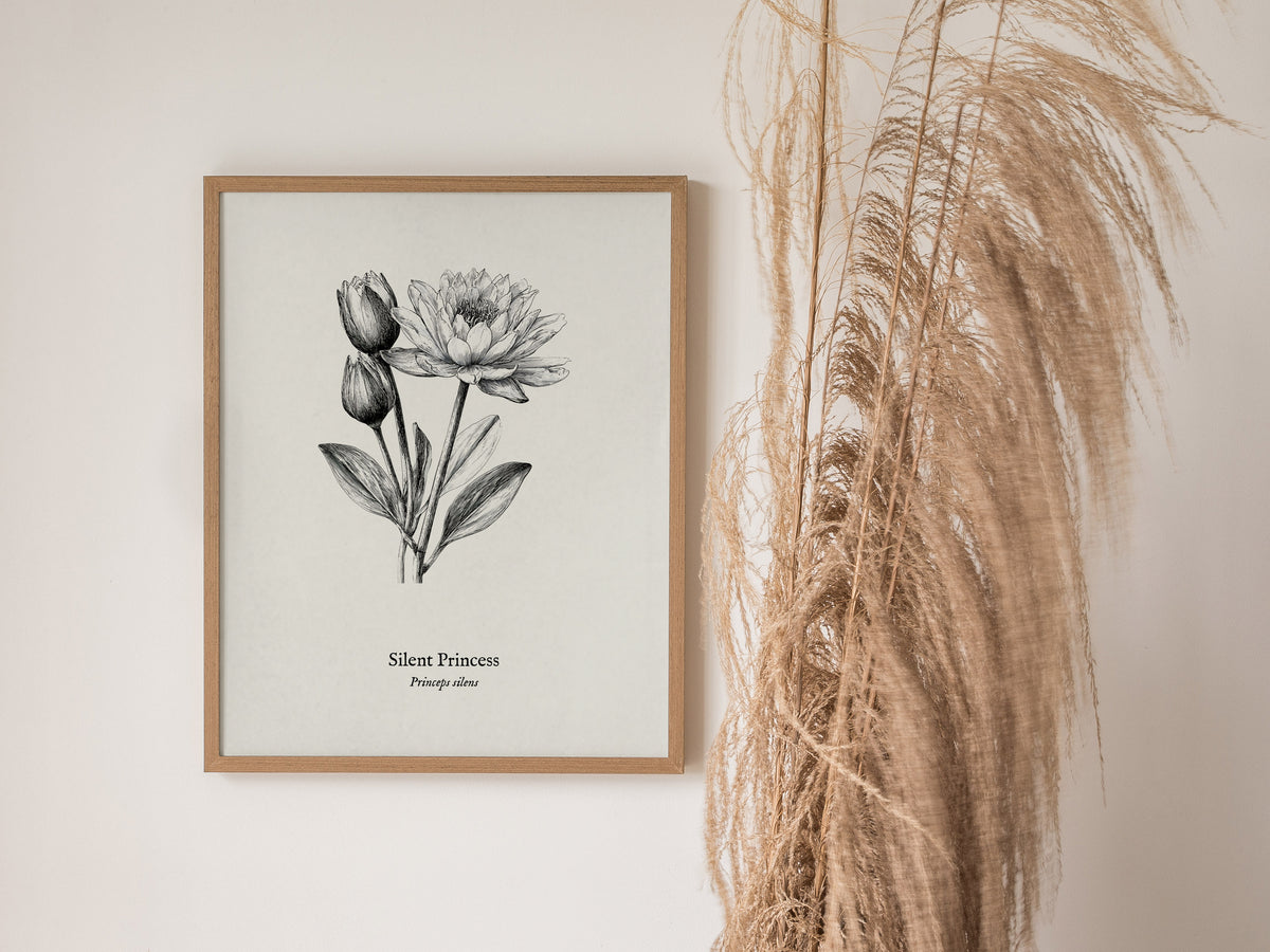 Silent Princess Poster | Princeps Silens Pen and Ink Print Vintage Scientific Illustration Wall Art — styled in a modern inte