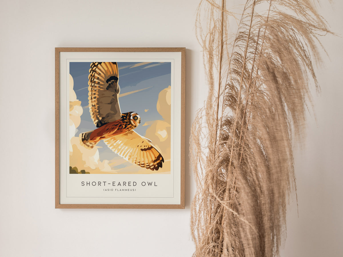 Short-eared Owl, Asio flammeus Poster | Raptor Wildlife Print Nature Wall Art — styled in a modern interior