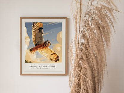 Short-eared Owl, Asio flammeus Poster | Raptor Wildlife Print Nature Wall Art — styled in a modern interior