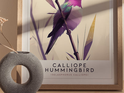 Calliope Hummingbird Audubon Print | Bird Lover Wall Art | Framed or Unframed
