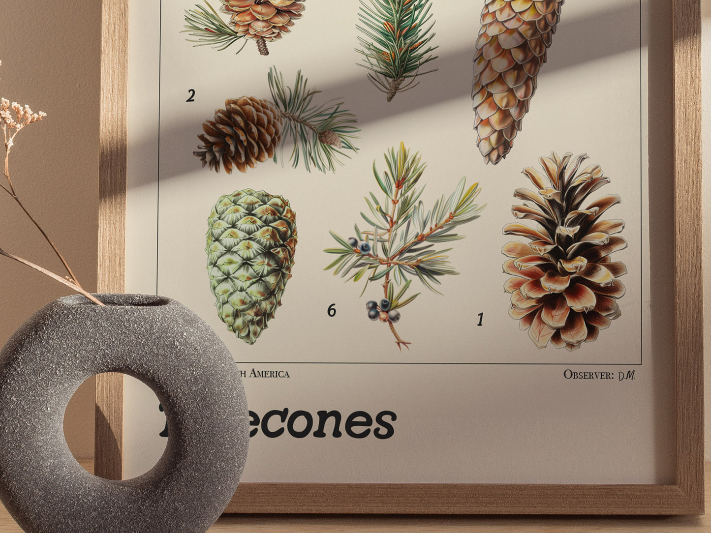 A framed botanical poster features detailed illustrations of different pinecones and branches, each labeled with numbers. A textured, circular vase with dried flowers is placed nearby.