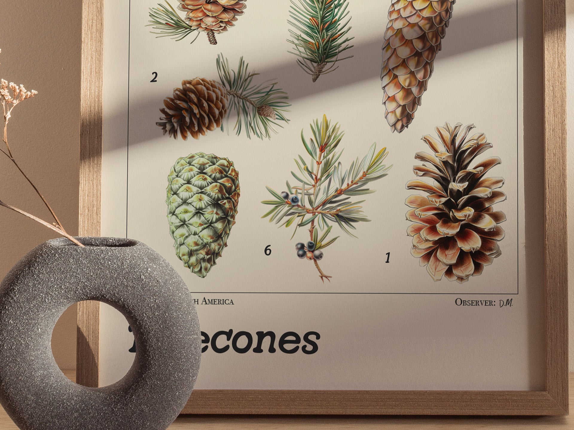 A framed botanical poster features detailed illustrations of different pinecones and branches, each labeled with numbers. A textured, circular vase with dried flowers is placed nearby.