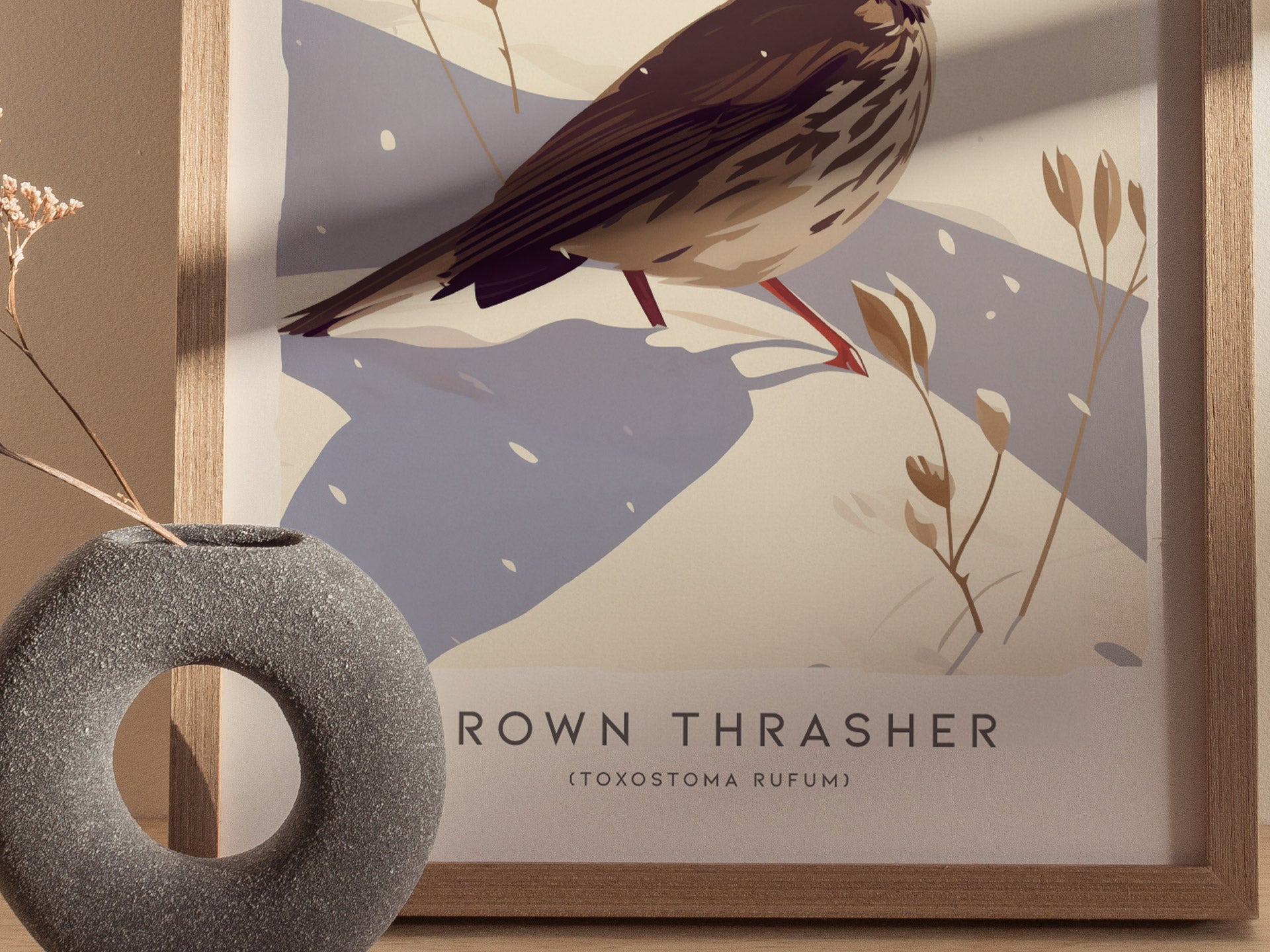 Brown Thrasher Audubon Print | Modern Bird Lover Wall Art | Framed or Unframed