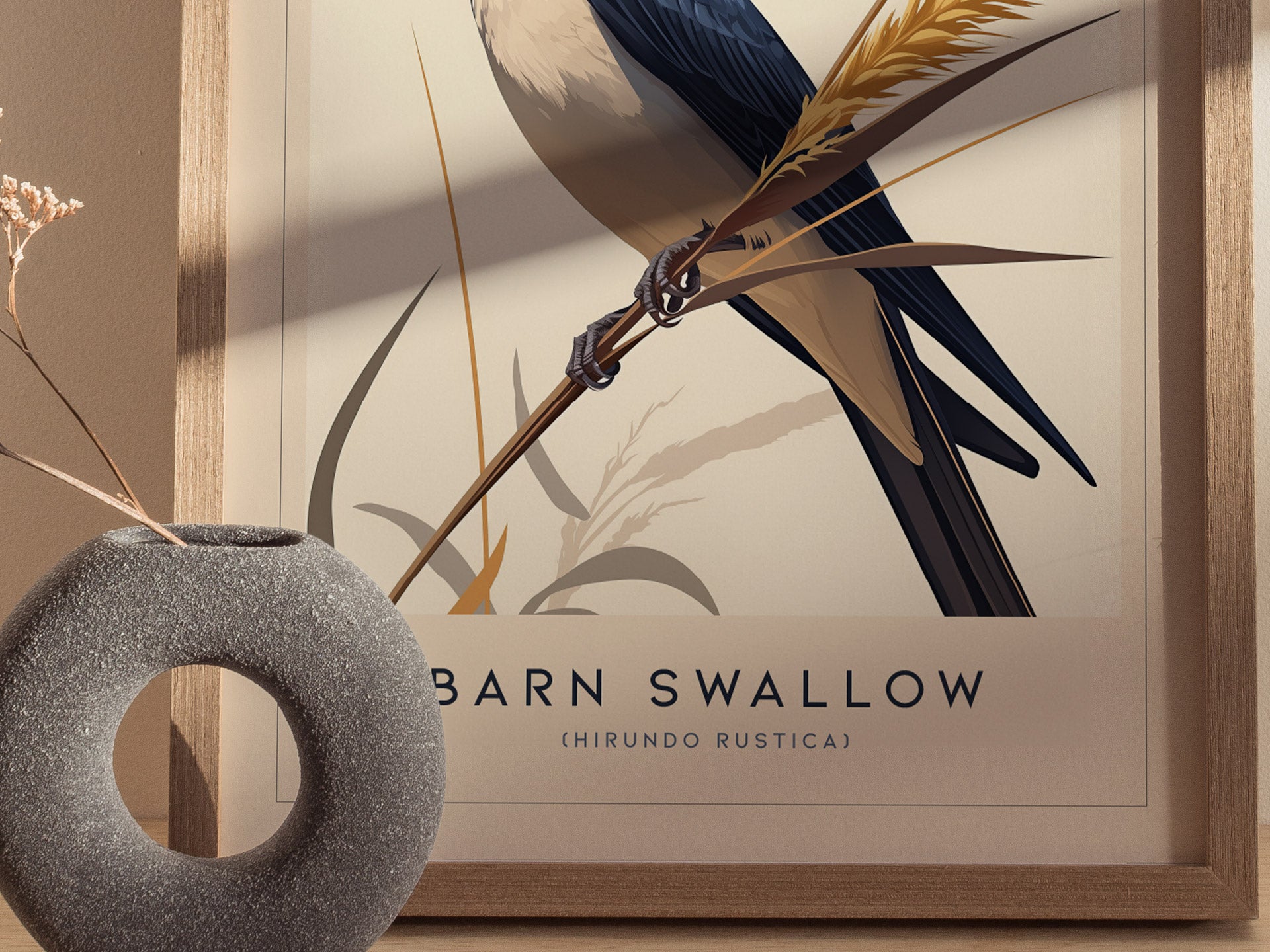 Barn Swallow Audubon Print | Bird Lover Wall Art | Framed or Unframed