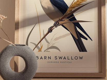 Barn Swallow Audubon Print | Bird Lover Wall Art | Framed or Unframed