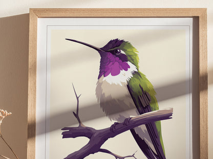 Costas Hummingbird Audubon Print | Bird Lover Wall Art | Framed or Unframed