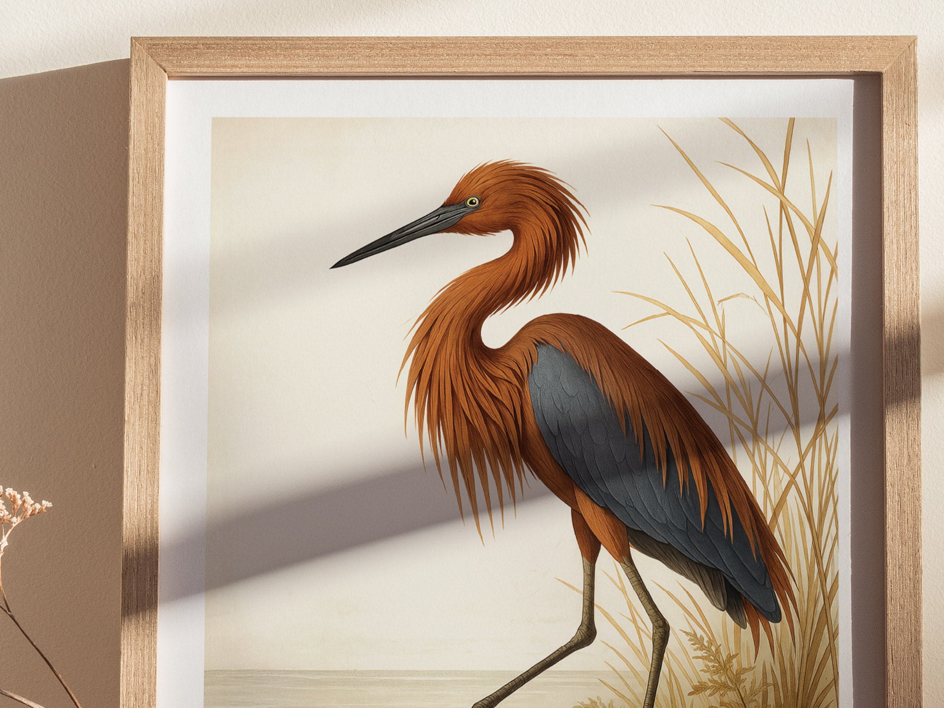 A framed poster depicting a Reddish Egret with shaggy rust-colored plumage and deep slate-blue wings stands elegantly against a backdrop of golden reeds. This wall art captures the birds unique beauty and grace.