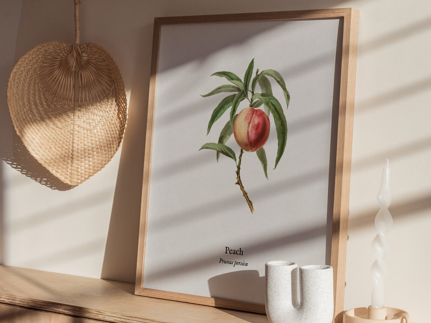 Peach Poster | Prunus persica Vintage Botanical Illustration Pen and Ink Print — styled in a modern interior