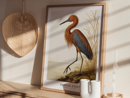 A framed poster featuring a detailed illustration of a Reddish Egret is displayed on a wooden surface. The wall art is accompanied by decorative items, including a woven fan and a twisted candle, creating a warm, artistic ambiance.