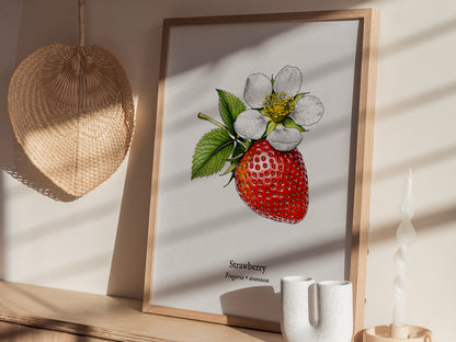 Strawberry Poster | Fragaria × ananassa Pen and Ink Print Vintage Botanical Illustration Wall Art — styled in a modern interi