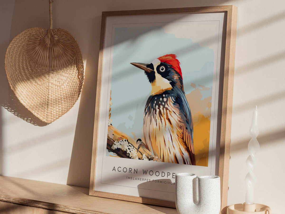Acorn Woodpecker, Melanerpes formicivorus Poster | Bold Bird Wall Art Nature Print — styled in a modern interior