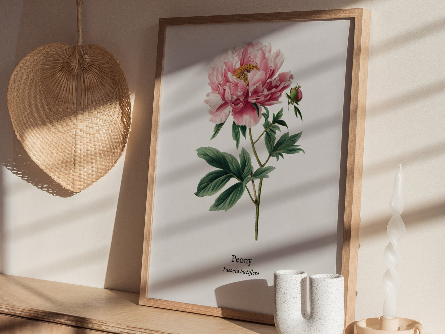 Peony Poster | Vintage Paeonia Lactiflora Botanical Illustration Wall Art — styled in a modern interior