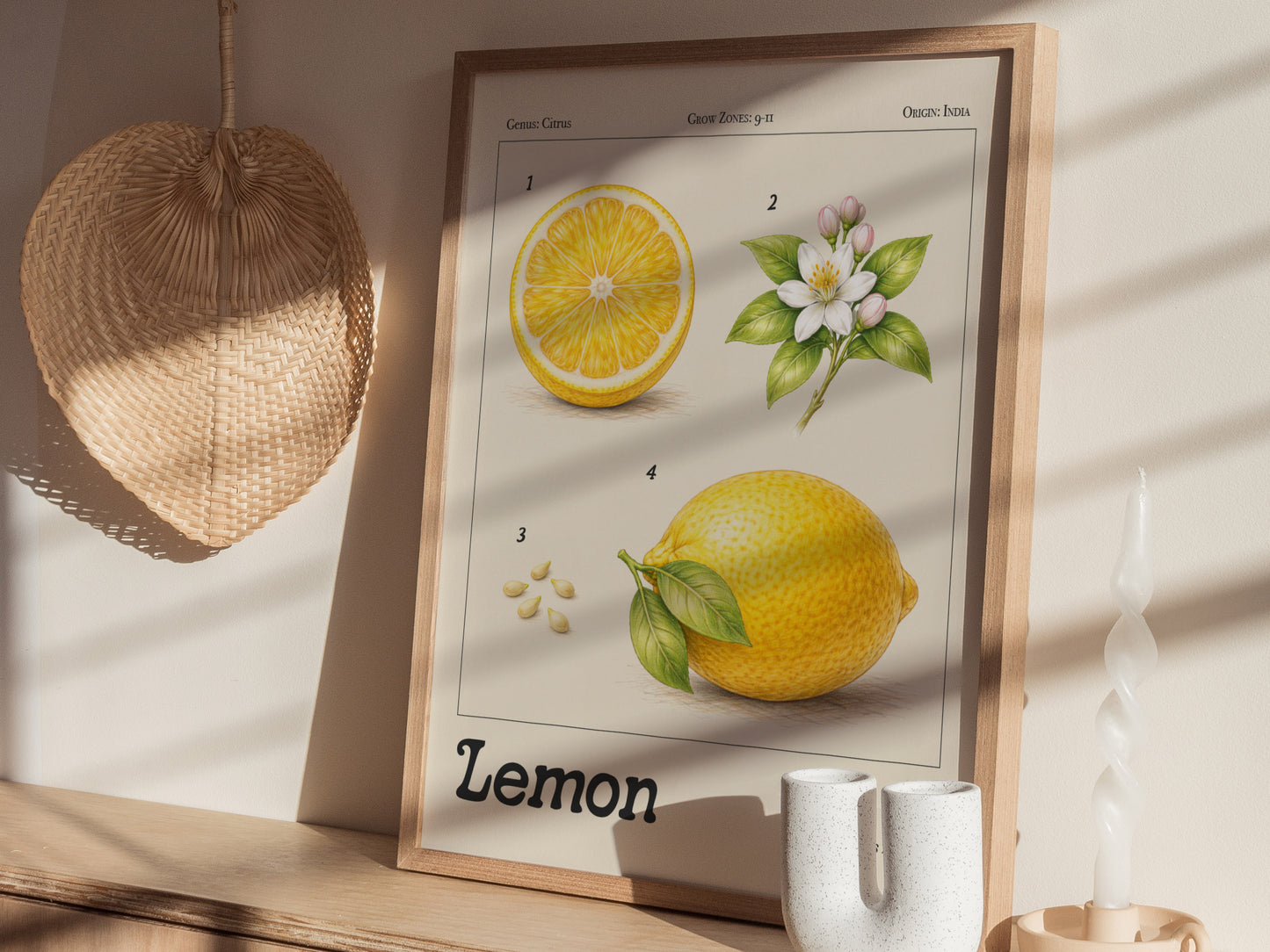Vintage botanical illustration of a lemon plant, showcasing detailed fruit, blossoms, and leaves in muted natural colors.