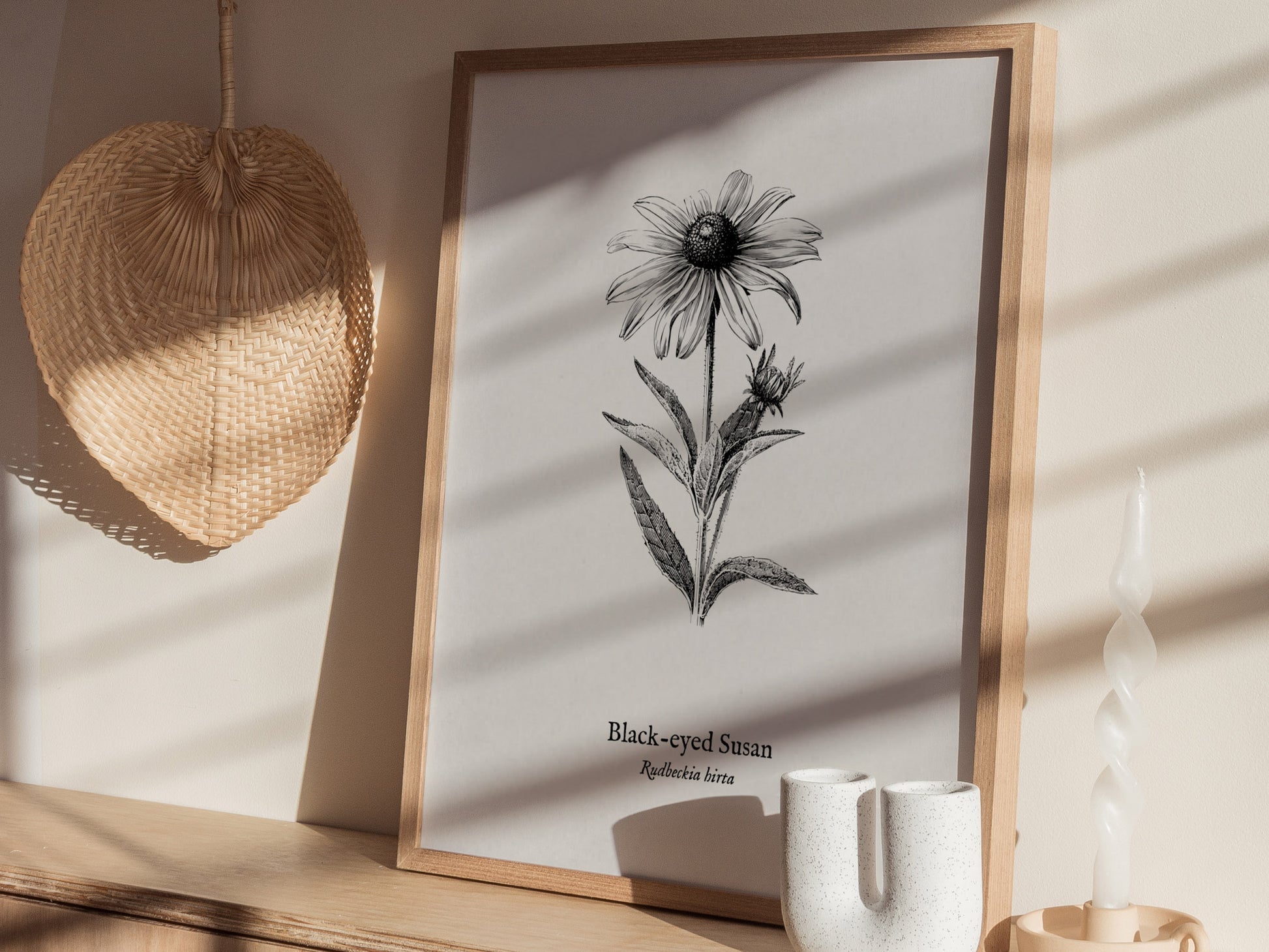 Black-eyed Susan Poster | Vintage Rudbeckia hirta Botanical Illustration Wall Art — styled in a modern interior