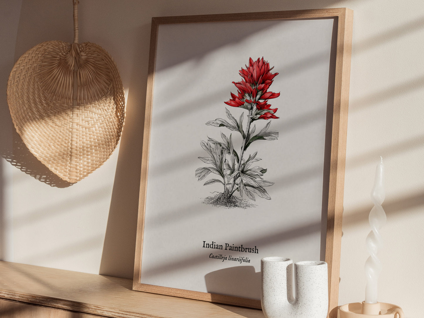 Indian Paintbrush Poster | Castilleja Linariifolia Pen and Ink Print Vintage Botanical Illustration — styled in a modern inte