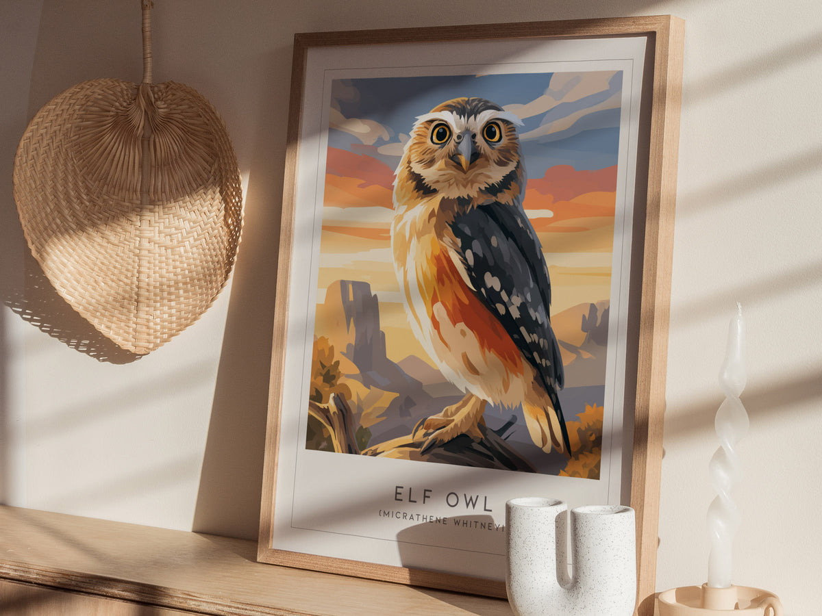 Elf Owl Poster | Desert Night Tiny Owl Wall Art — styled in a modern interior