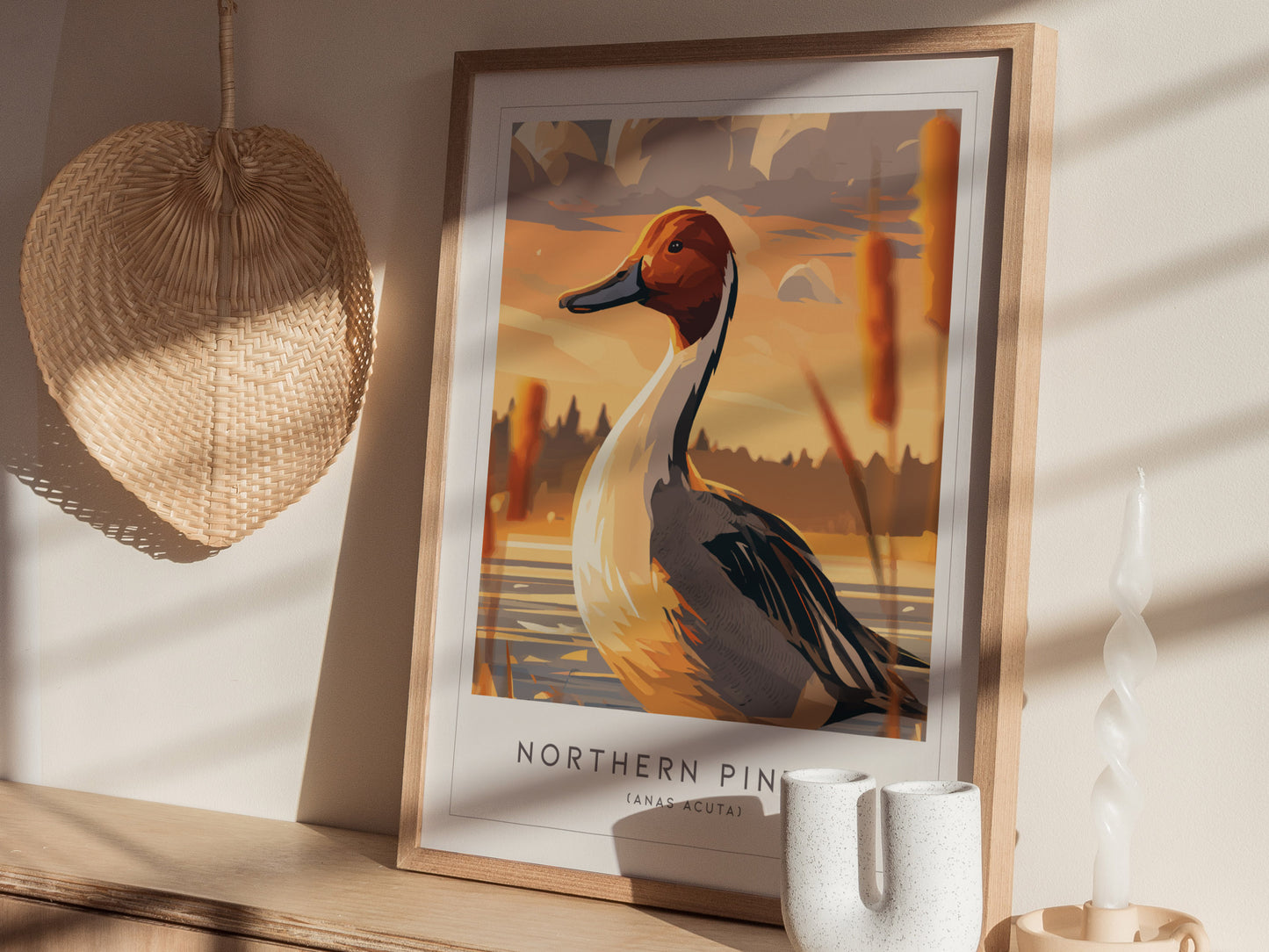 Northern Pintail, Anas acuta Poster | Elegant Waterfowl Bird Wall Art — styled in a modern interior