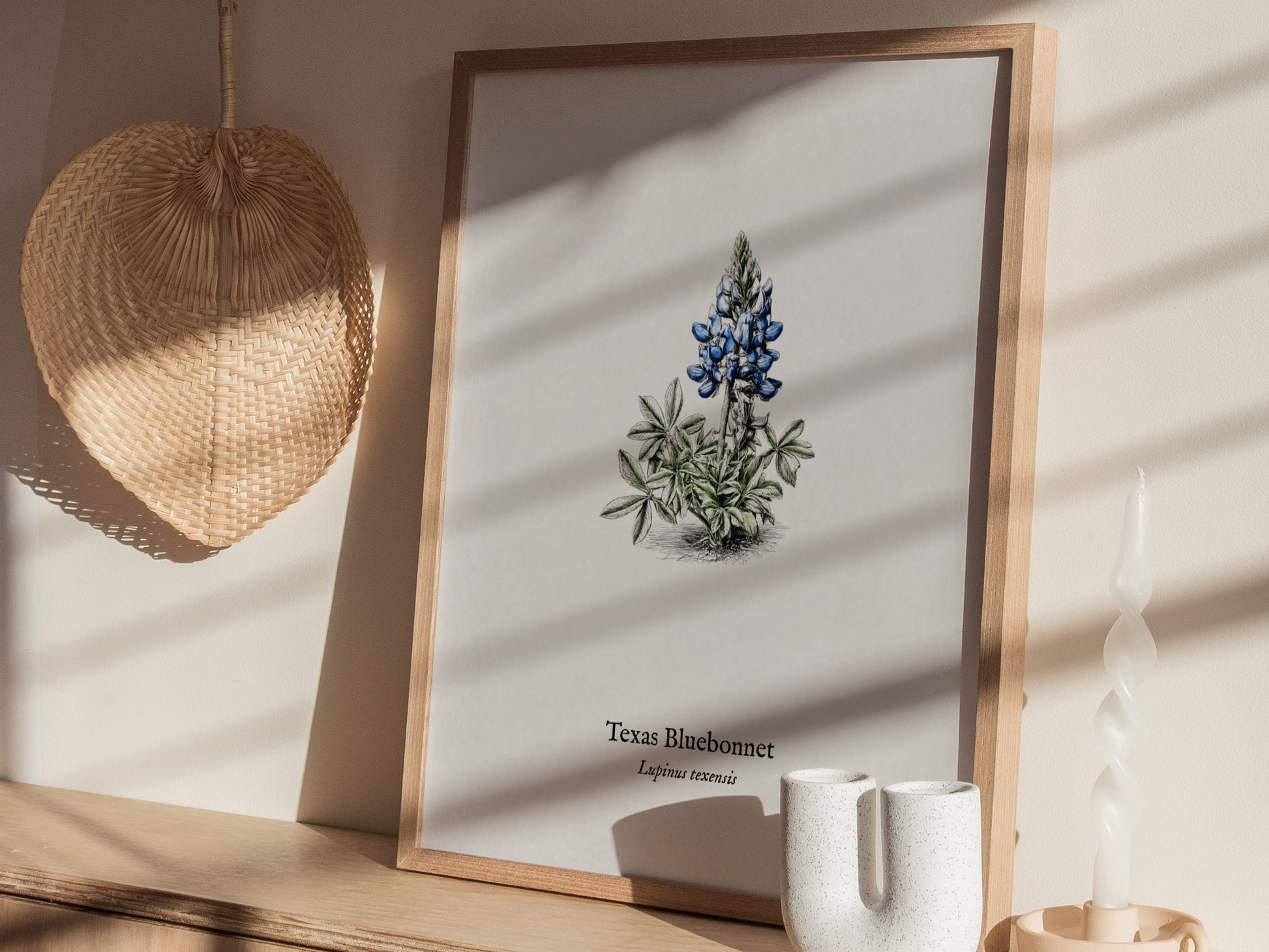 Texas Bluebonnet Poster | Vintage Lupinus texensis Botanical Illustration Wall Art — styled in a modern interior