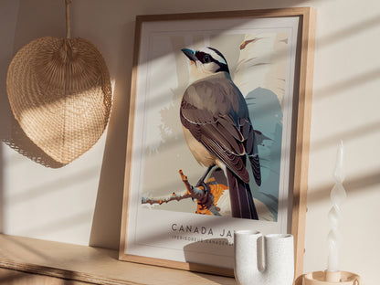 Canada Jay, Perisoreus canadensis Poster | Bold Boreal Bird Wall Art — styled in a modern interior