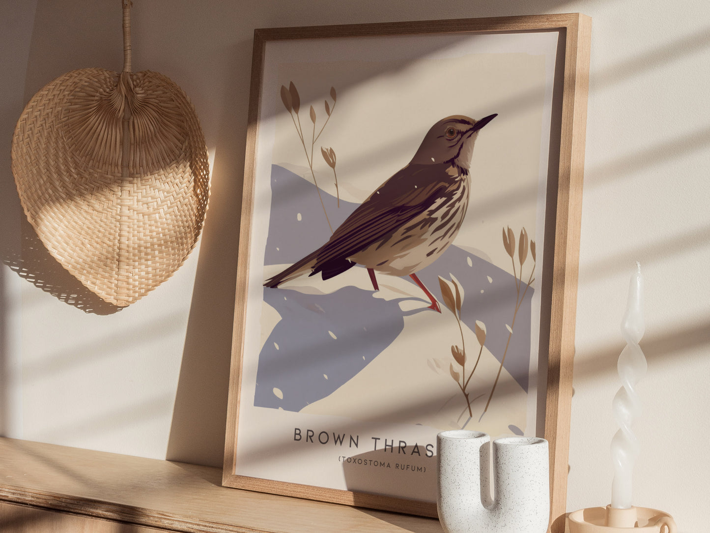 Brown Thrasher Audubon Print | Modern Bird Lover Wall Art | Framed or Unframed