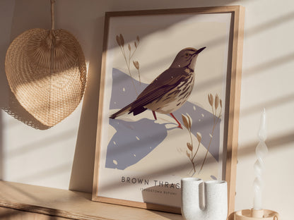 Brown Thrasher Audubon Print | Modern Bird Lover Wall Art | Framed or Unframed