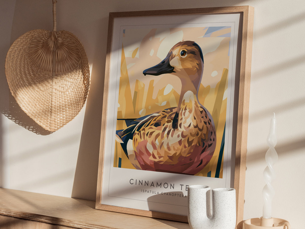 Cinnamon Teal, Spatula cyanoptera Poster | Vibrant Wetland Bird Wall Art — styled in a modern interior