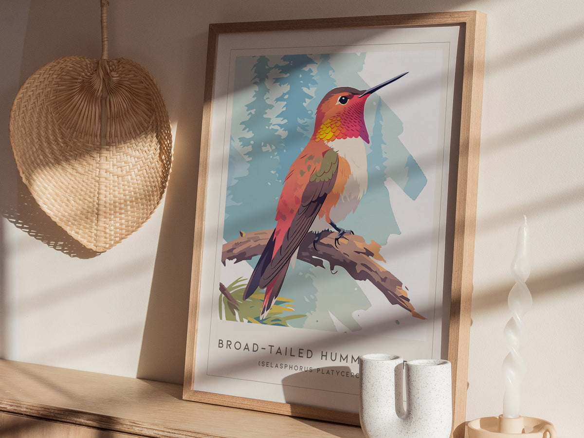 Broad-tailed Hummingbird, Selasphorus platycercus Poster | Vibrant Wildlife Print Nature Wall Art — styled in a modern interi