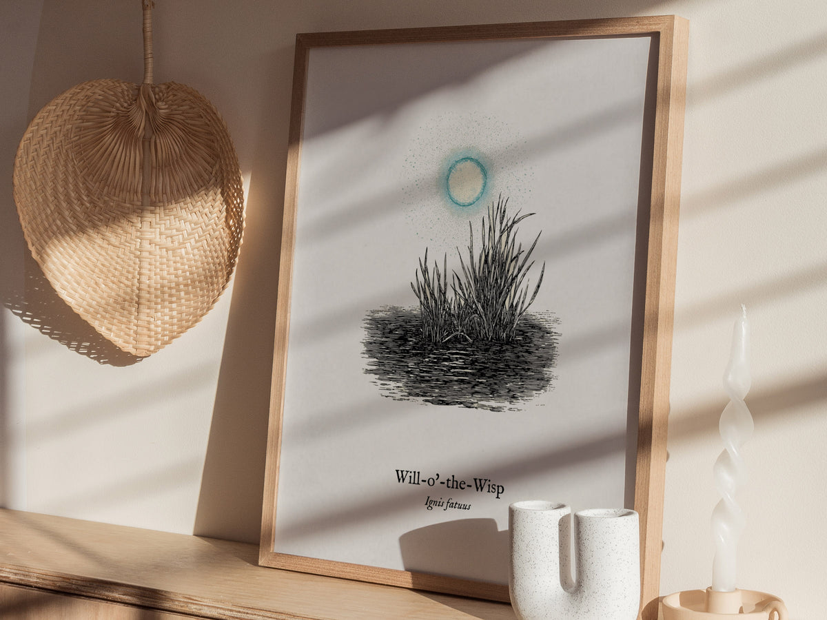 Will-o'-the-Wisp Poster | Ignis Fatuus Pen and Ink Print | Vintage Scientific Illustration Wall Art — styled in a modern inte