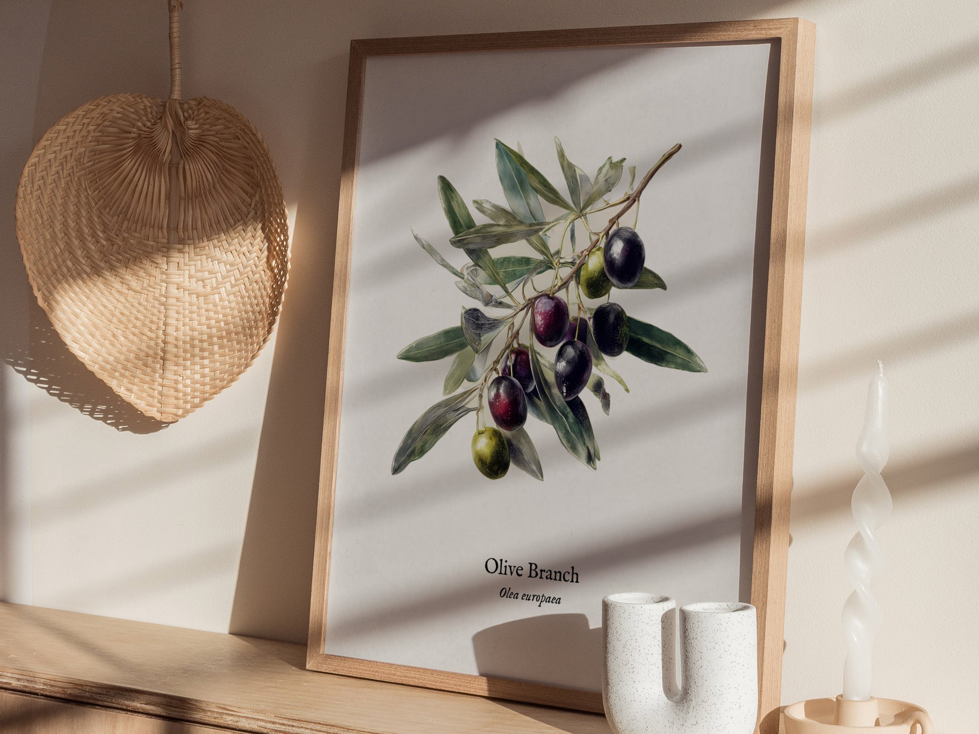 Olive Branch Poster | Vintage Olea europaea Botanical Illustration Wall Art — styled in a modern interior