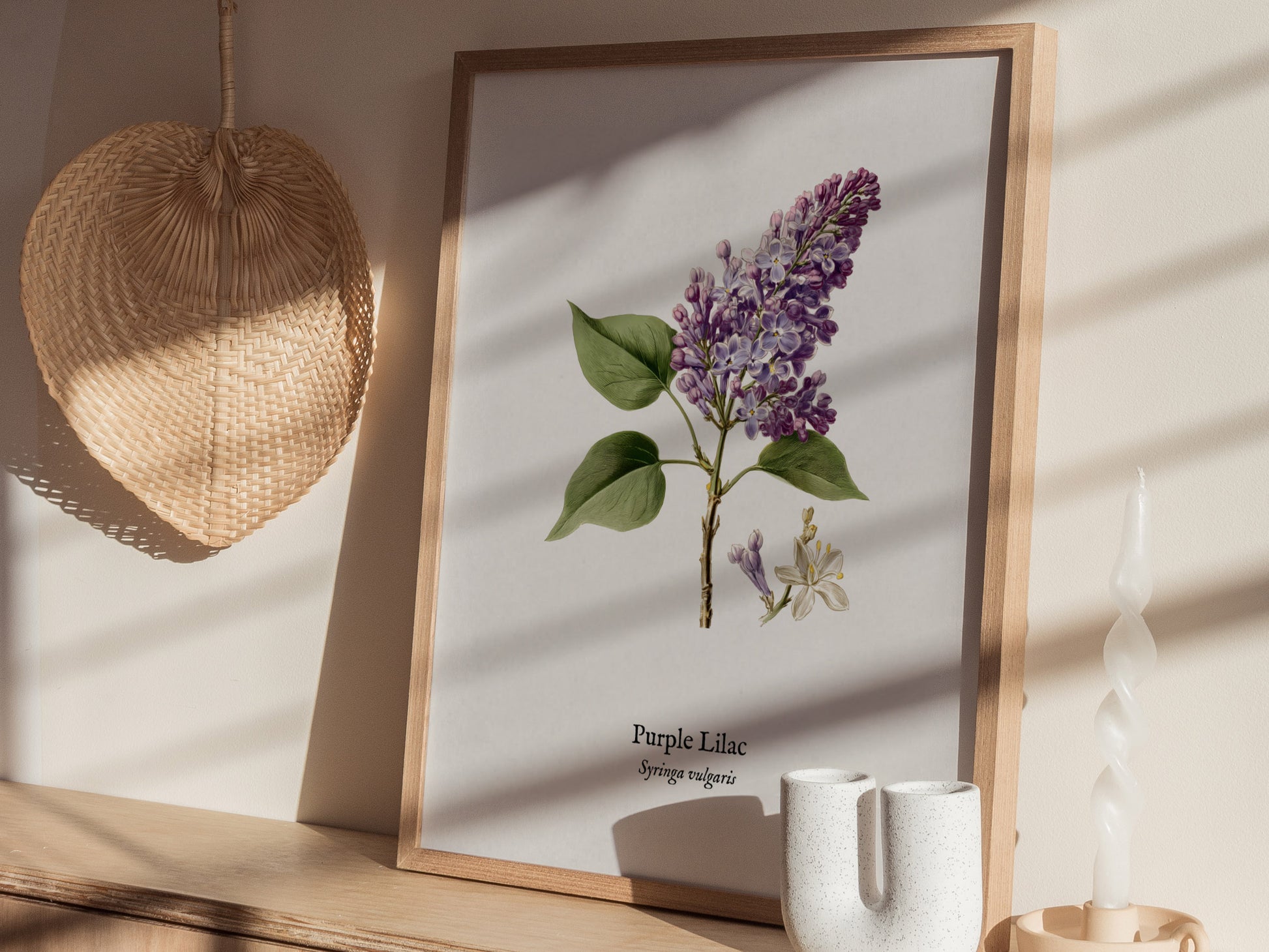 Purple Lilac Poster | Vintage Syringa vulgaris Botanical Illustration Wall Art — styled in a modern interior