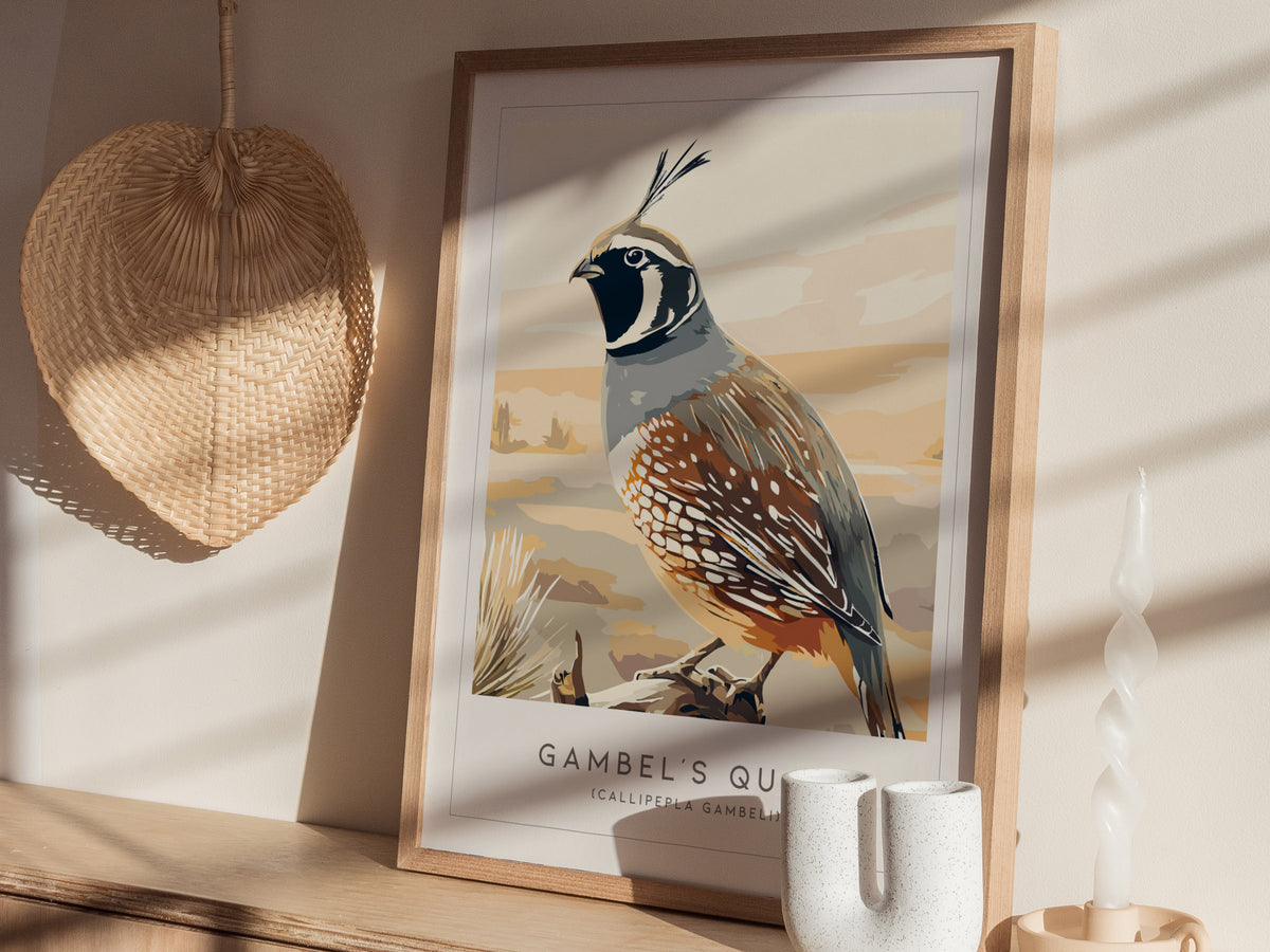 Gambel's Quail, Callipepla gambeli Poster | Desert Bird Wall Art Wildlife Print — styled in a modern interior