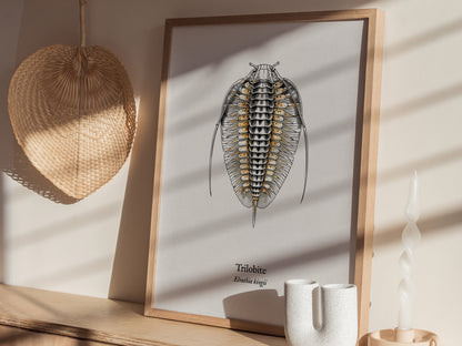 Trilobite Poster | Vintage Elrathia kingii Zoological Illustration Wall Art — styled in a modern interior